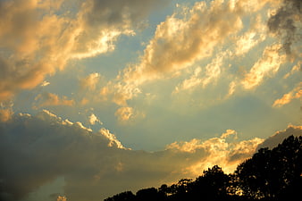 Dramatic golden sunset clouds over silhouetted trees