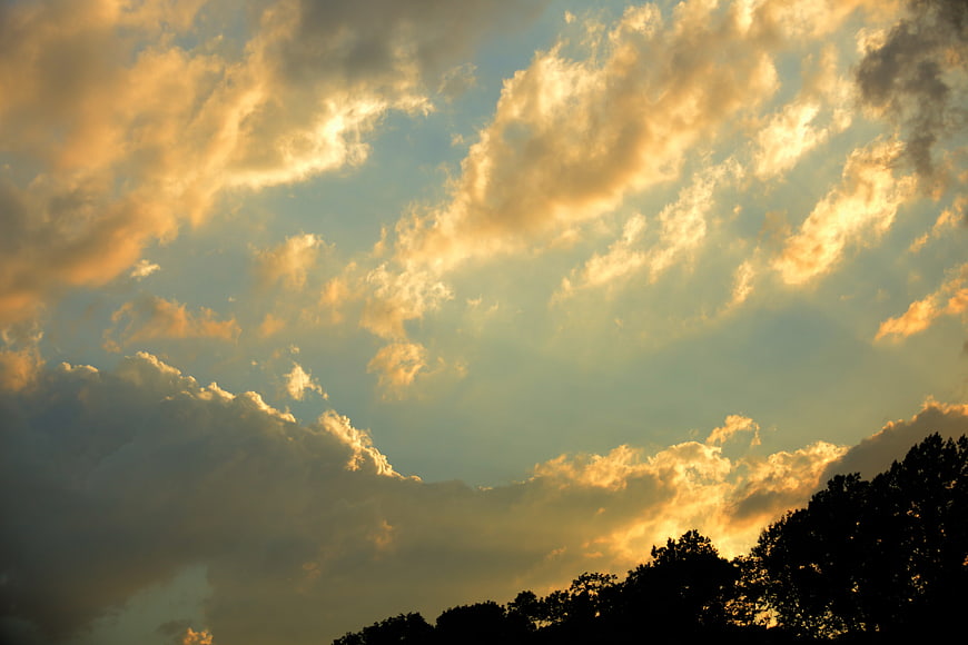 Dramatic golden sunset clouds over silhouetted trees
