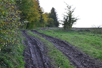 Muddy forest road with tire tracks in autumn landscape