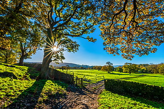 Sunlit Autumn Countryside Landscape with Stone Wall and Farm Gate