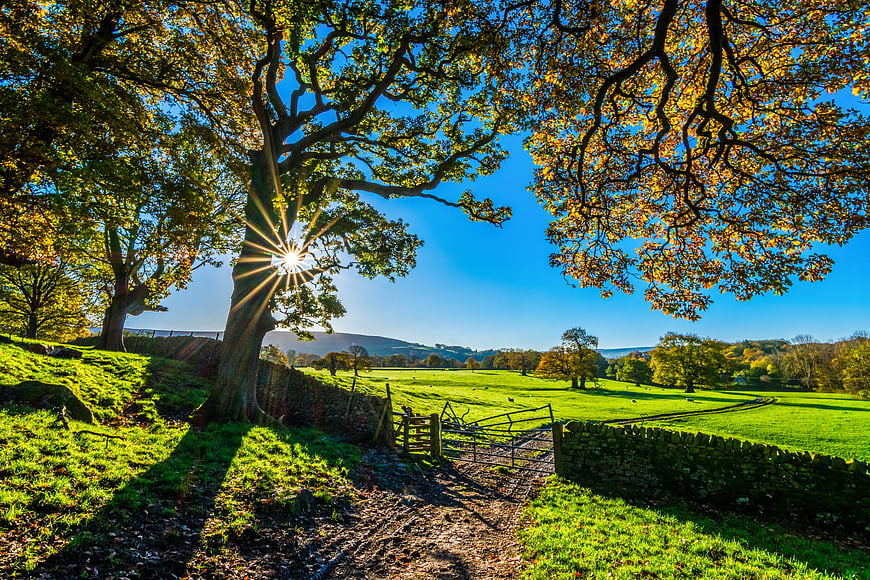 Sunlit Autumn Countryside Landscape with Stone Wall and Farm Gate