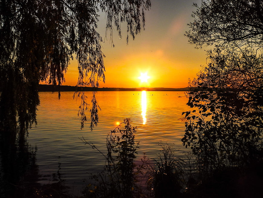 Golden Sunset Over Lake With Silhouetted Willow Trees