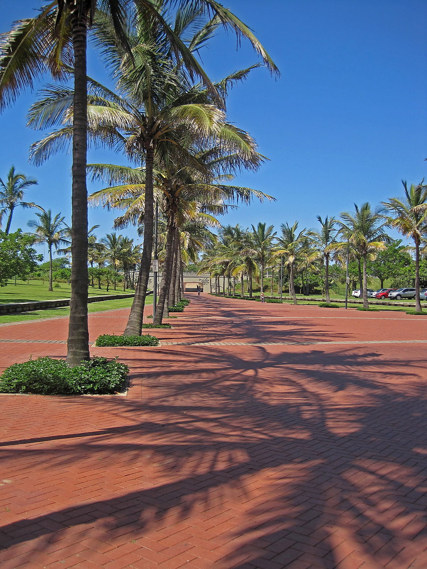 Red brick boulevard lined with palm trees under blue sky