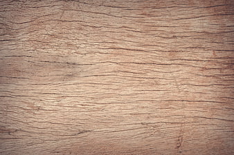 Close-up texture of natural oak wood grain background