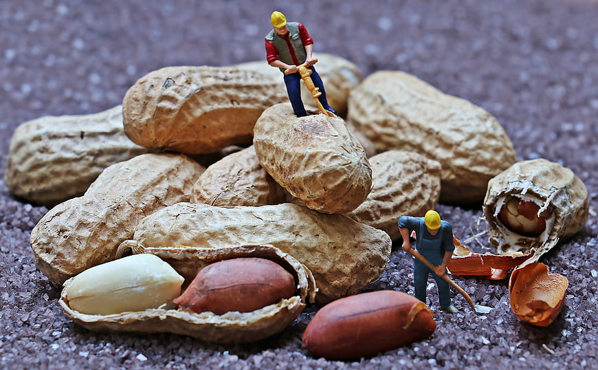 Miniature construction workers on giant peanuts macro shot