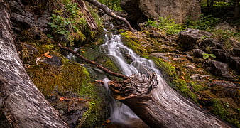 Mossy forest stream with long exposure waterfall and fallen logs