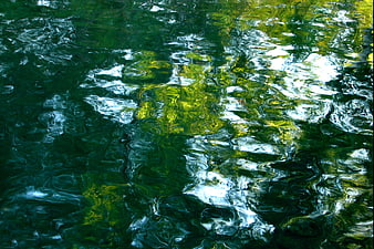 Abstract green water ripples with sunlight reflections
