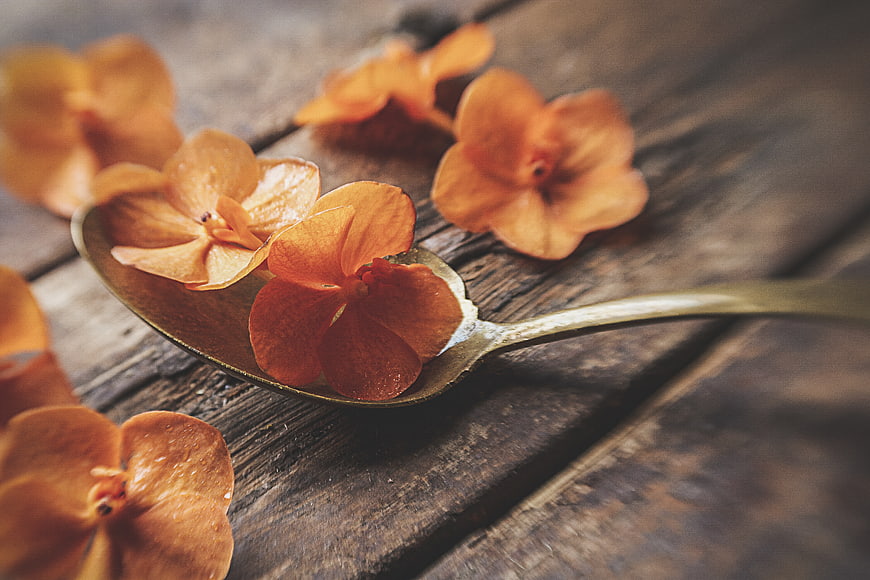 Orange flowers on vintage spoon rustic wood background