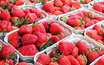 Fresh Red Strawberries in Cardboard Containers at Market