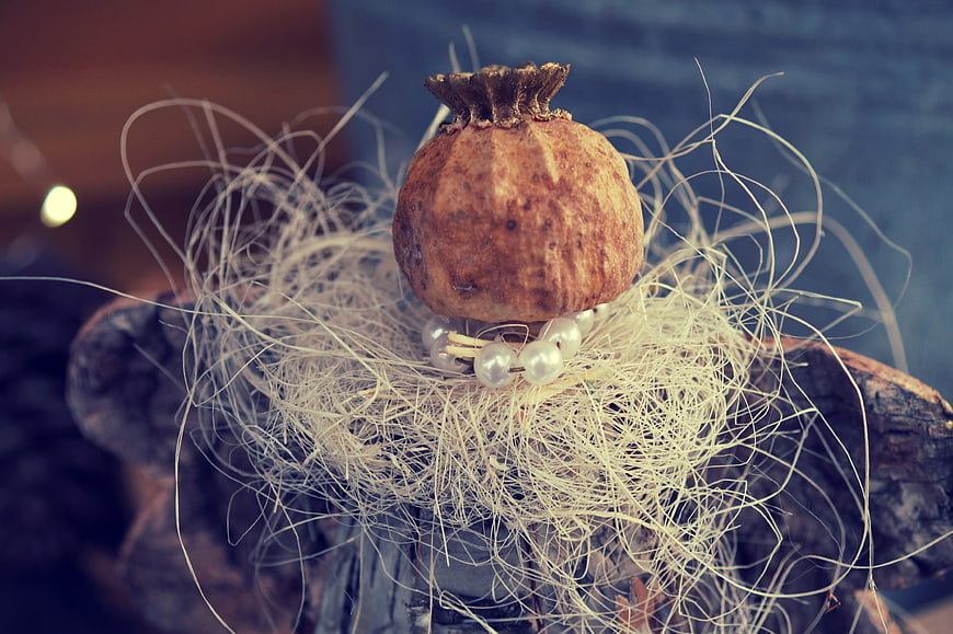 Dried Pomegranate Nest with Pearls on Wood