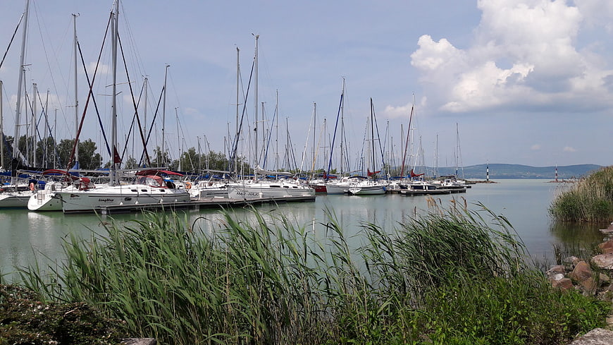 Sailboats docked in a marina with reeds in foreground