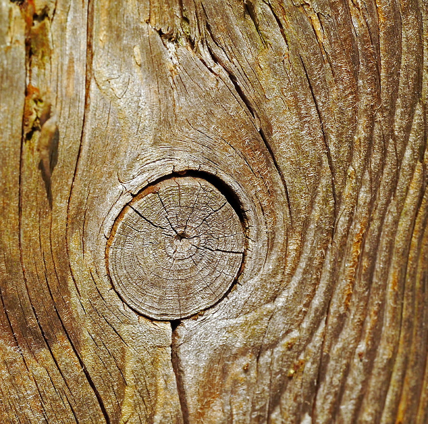 Close-up of weathered wood grain and knothole texture