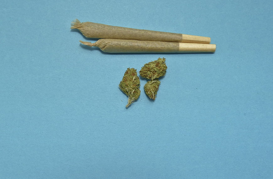 Hand-rolled cannabis joints and buds on blue background