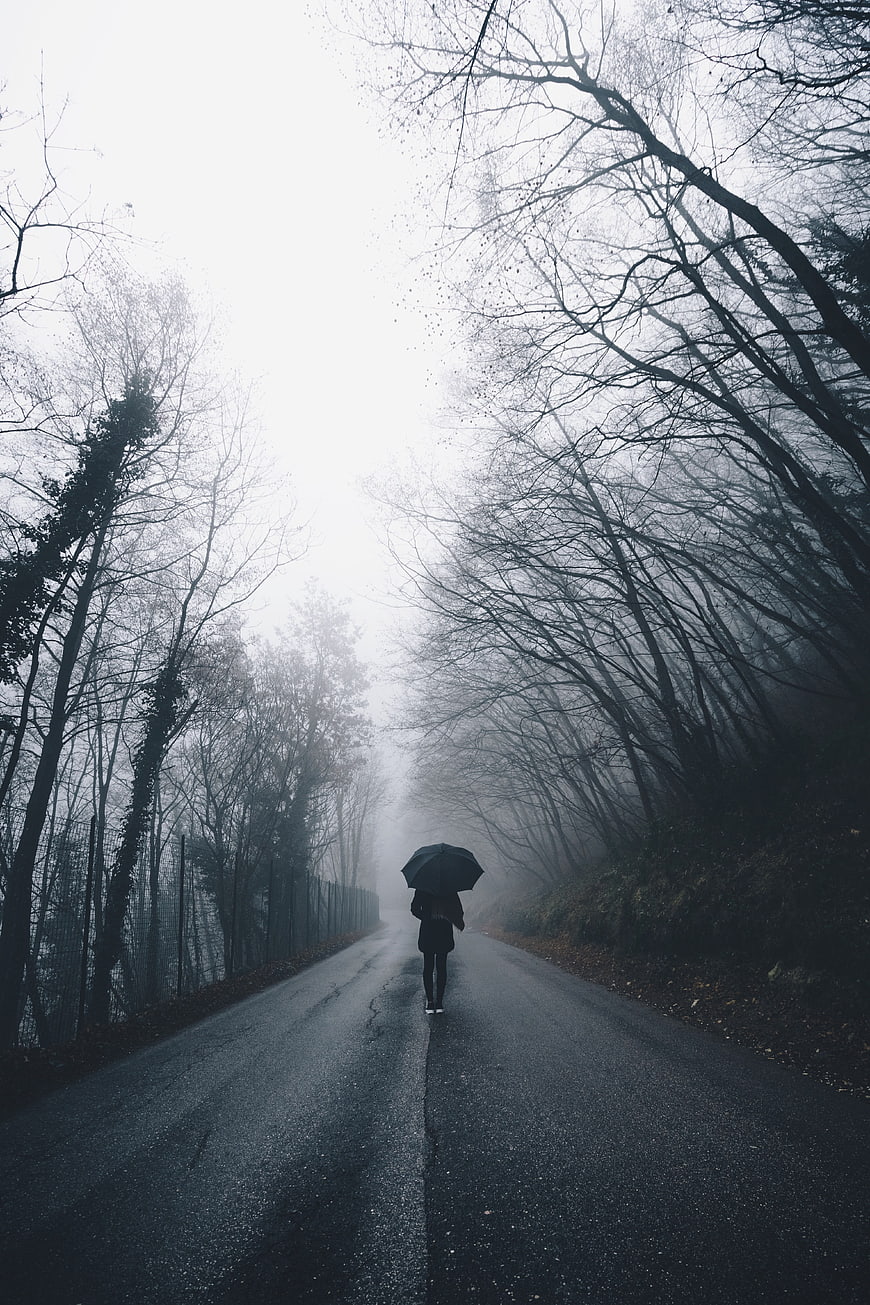 Woman with Umbrella Walking on Foggy Forest Road