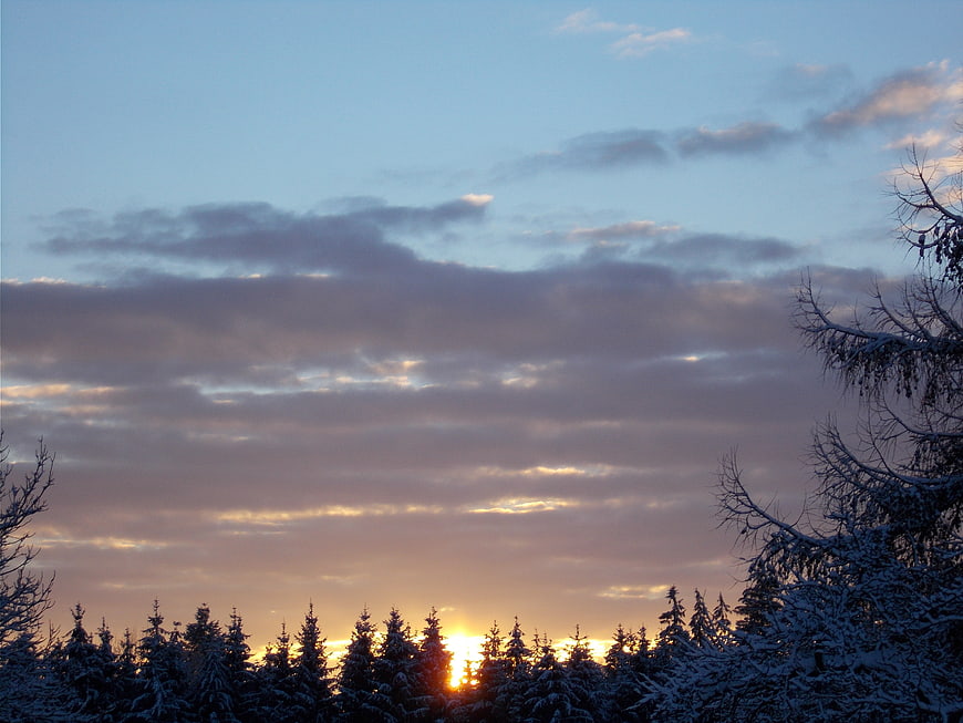 Winter Sunrise Over Snowy Pine Forest
