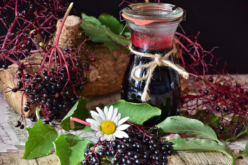 Homemade Elderberry Syrup with Fresh Berries and Leaves