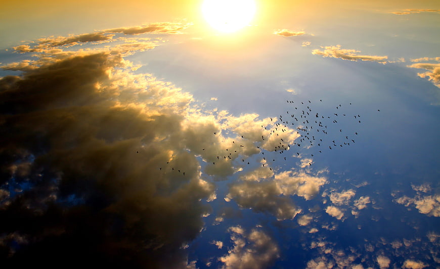 Flock of birds flying through dramatic sunset clouds