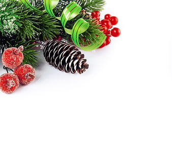 Christmas pine branch with pinecone and red berries on white