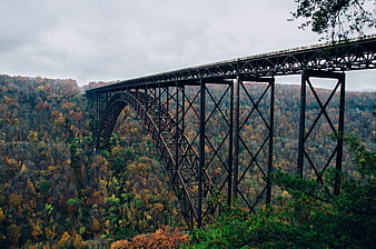 Steel arch bridge spanning autumn forest valley