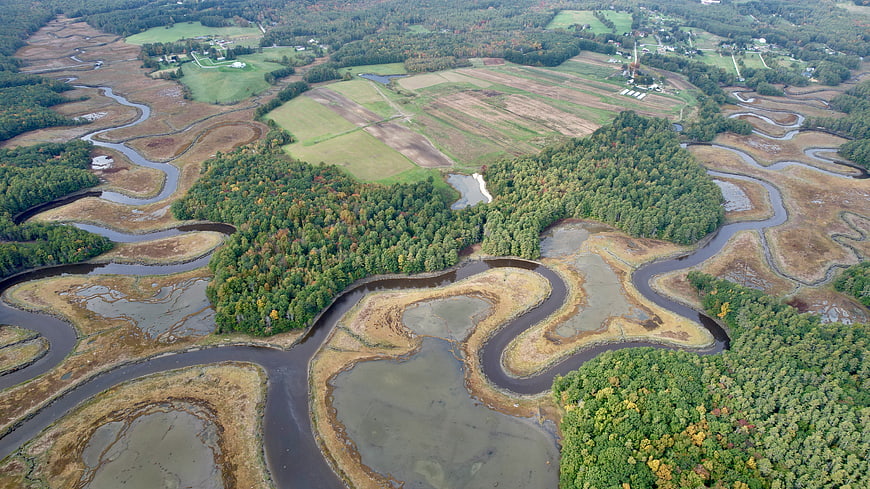 Aerial view of winding river through autumn forest and marshland