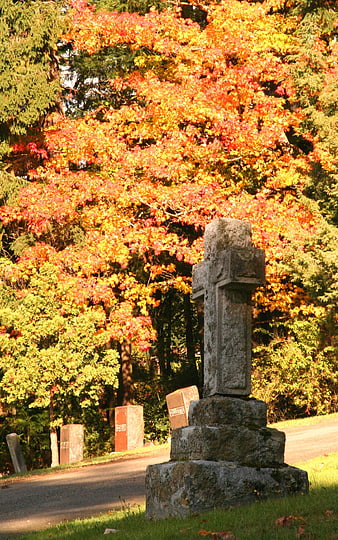 Stone Cross Gravestone in Cemetery with Vibrant Autumn Foliage