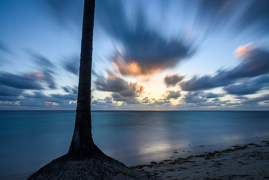 Dramatic Long Exposure Palm Tree Silhouette on Tropical Beach at Sunset