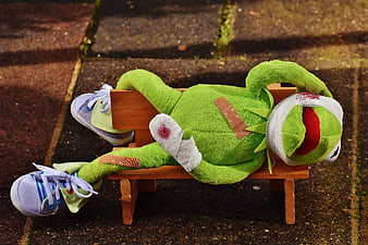 Injured green frog plush toy lying on miniature wooden bench