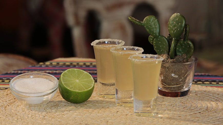 Tequila shots with salt rim, lime, and cactus on woven mat