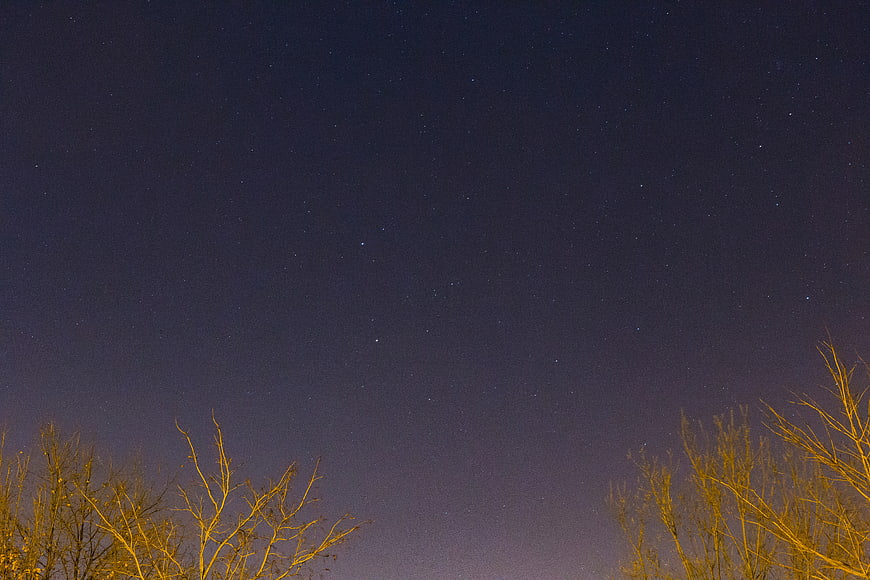 Starry Night Sky with Silhouetted Trees