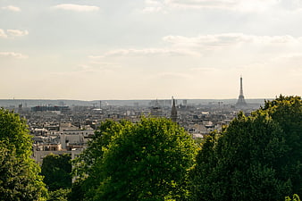 Paris Cityscape with Eiffel Tower and Green Trees