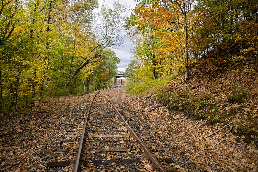 Autumn Railway Tracks Winding Through Colorful Forest