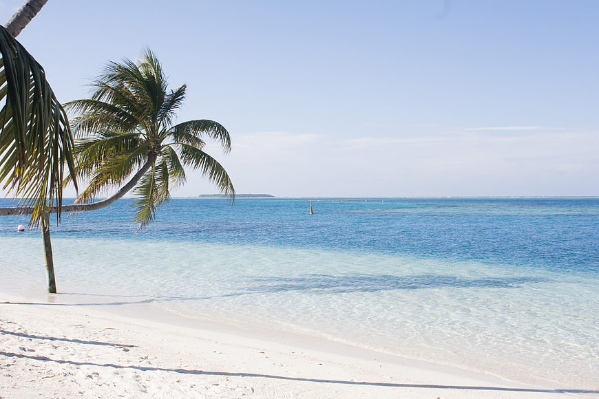 Tropical Beach Landscape With Palm Trees And Turquoise Water