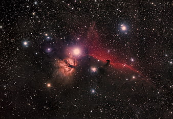 Stunning Horsehead Nebula Astrophotography with Starry Background
