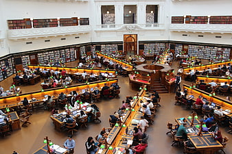 High angle view of busy university library reading room