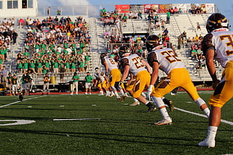 American Football Team Lineup on Field with Crowd
