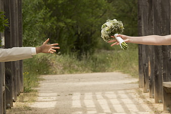 Bride and Groom Hands Reaching on Wooden Bridge