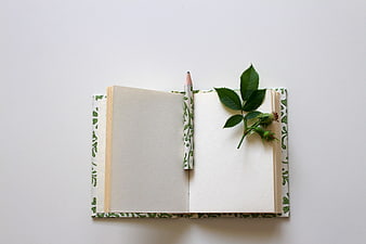 Open Notebook with Pencil and Green Leaves on White Background