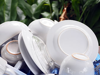 Clean white dishes drying in a rack with green plants