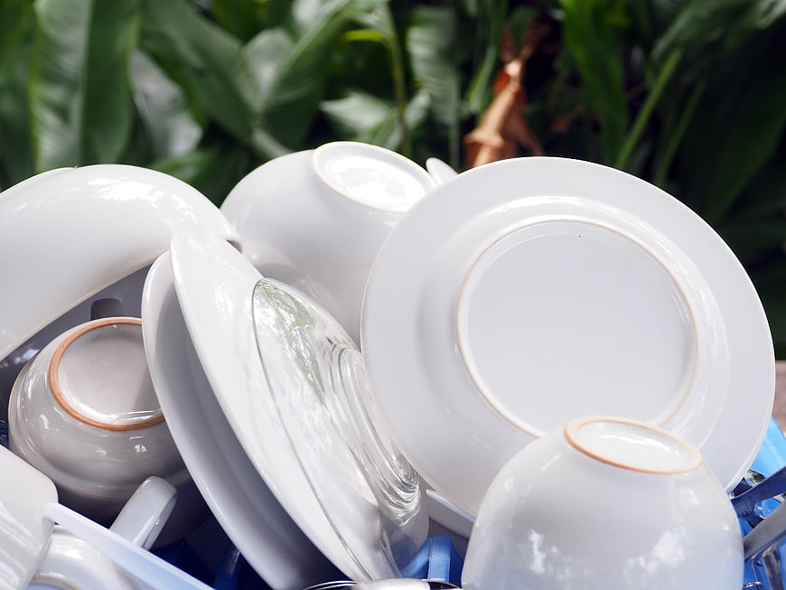 Clean white dishes drying in a rack with green plants