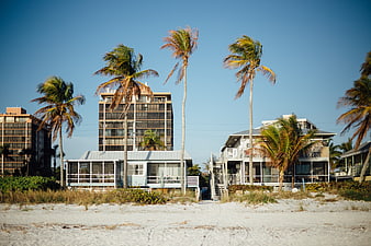 Tropical beach houses and palm trees against blue sky