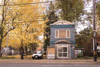 Japanese police box with autumn ginkgo trees and patrol car