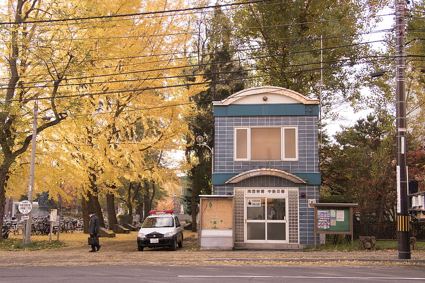 Japanese police box with autumn ginkgo trees and patrol car