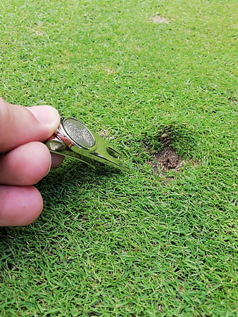 Hand repairing pitch mark on golf green with tool