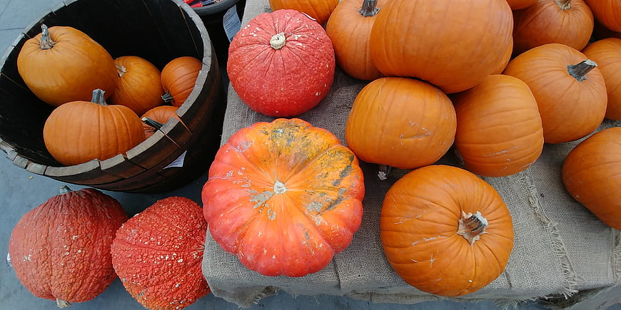 Variety of orange and red pumpkins in wooden barrel and on burlap