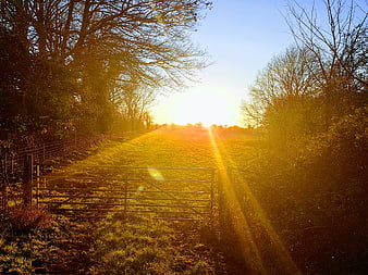 Sunset through open metal gate in rural field