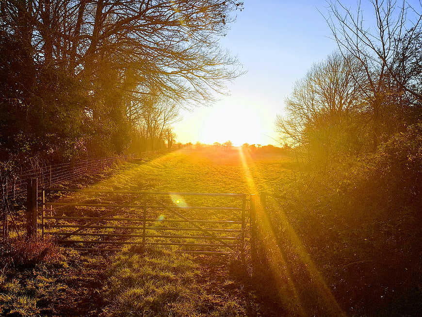 Sunset through open metal gate in rural field