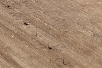 Aerial view of dry agricultural field with tractor tracks