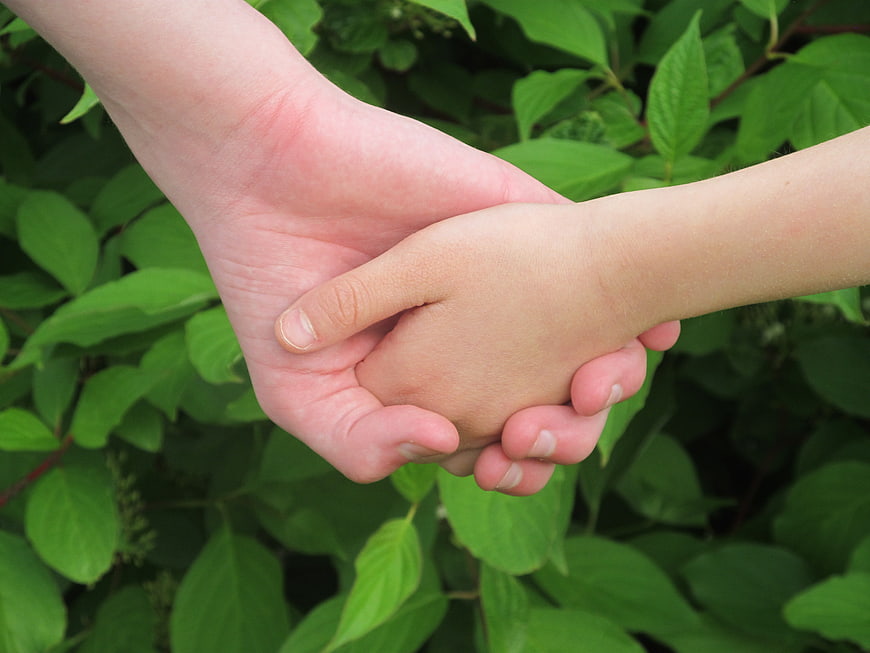 Adult and Child Holding Hands in Green Nature