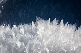 Macro Frost Crystals on Dark Blue Background