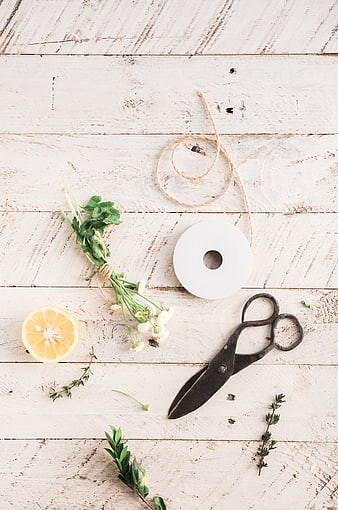 Flat lay of vintage scissors, lemon, and flowers on white wood